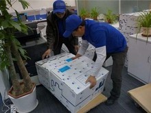惠州裝卸搬運(yùn)工與倉(cāng)儲(chǔ)服務(wù) 高效物流的核心支撐
